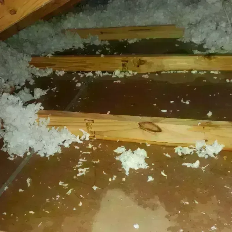 Attic Water Damage in York, PA