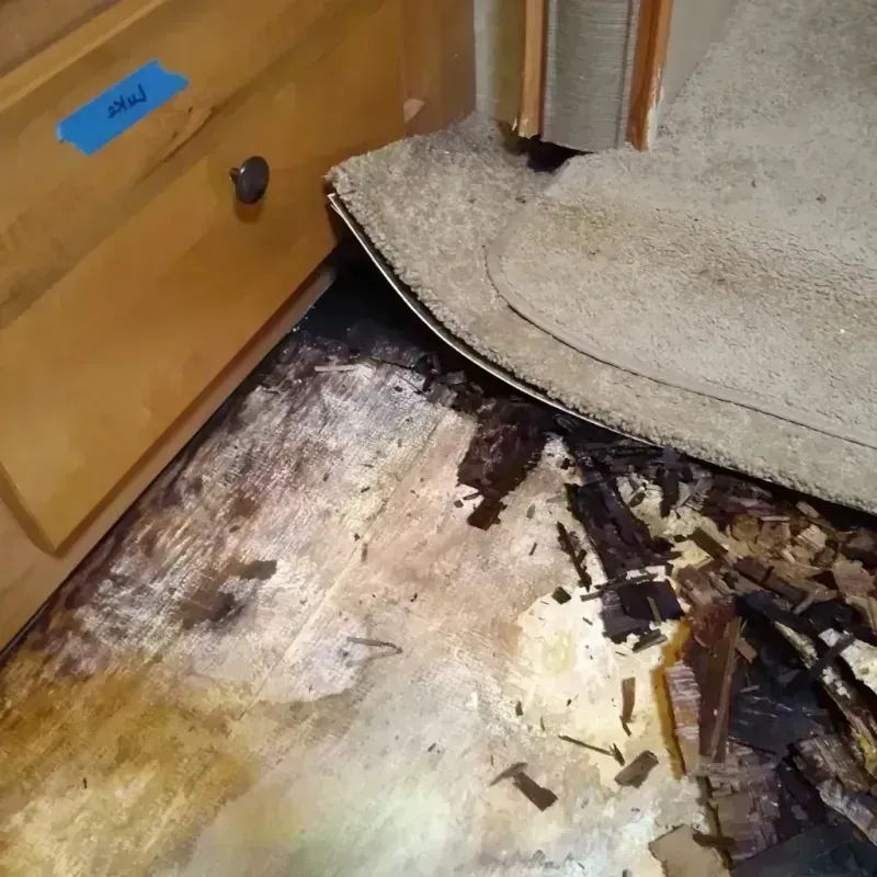 Wood Floor Water Damage in York, PA